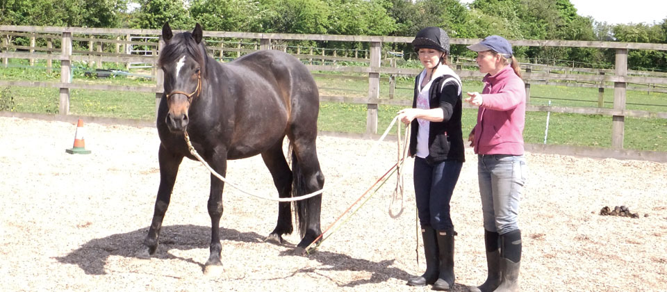 equestrian riding centre and riding lessons