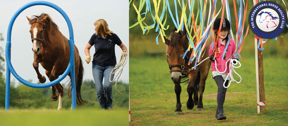 horse agility lessons and competitions