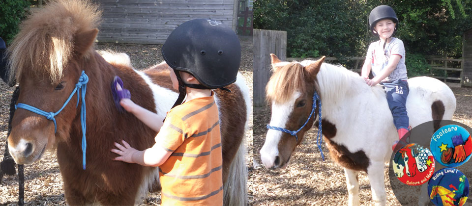 children horse educational programmes